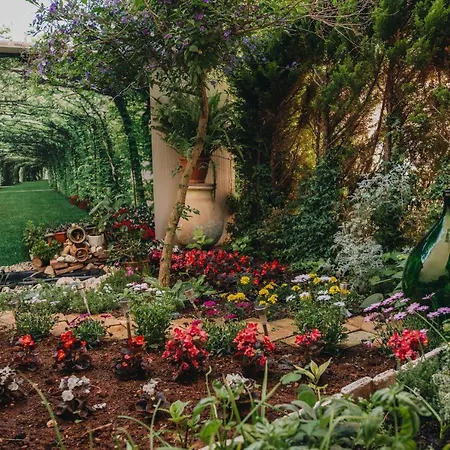 Marina * بوريتش